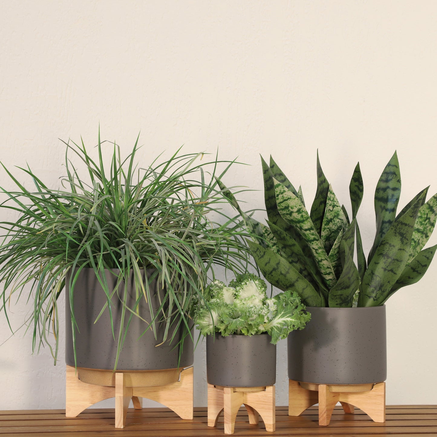 5" Planter with Wood Stand