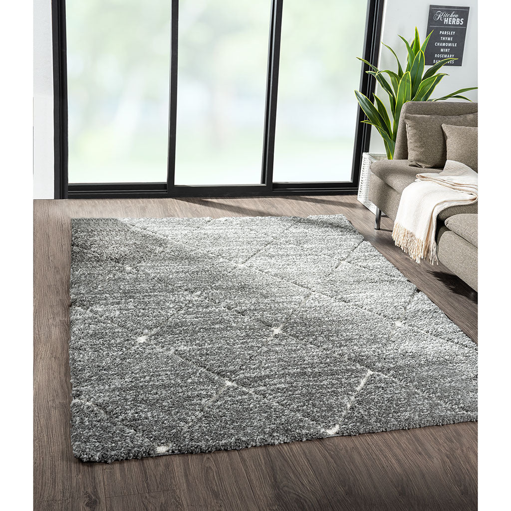 Sophie Talas Trellis Area Rug in Grey and Cream 6x9'