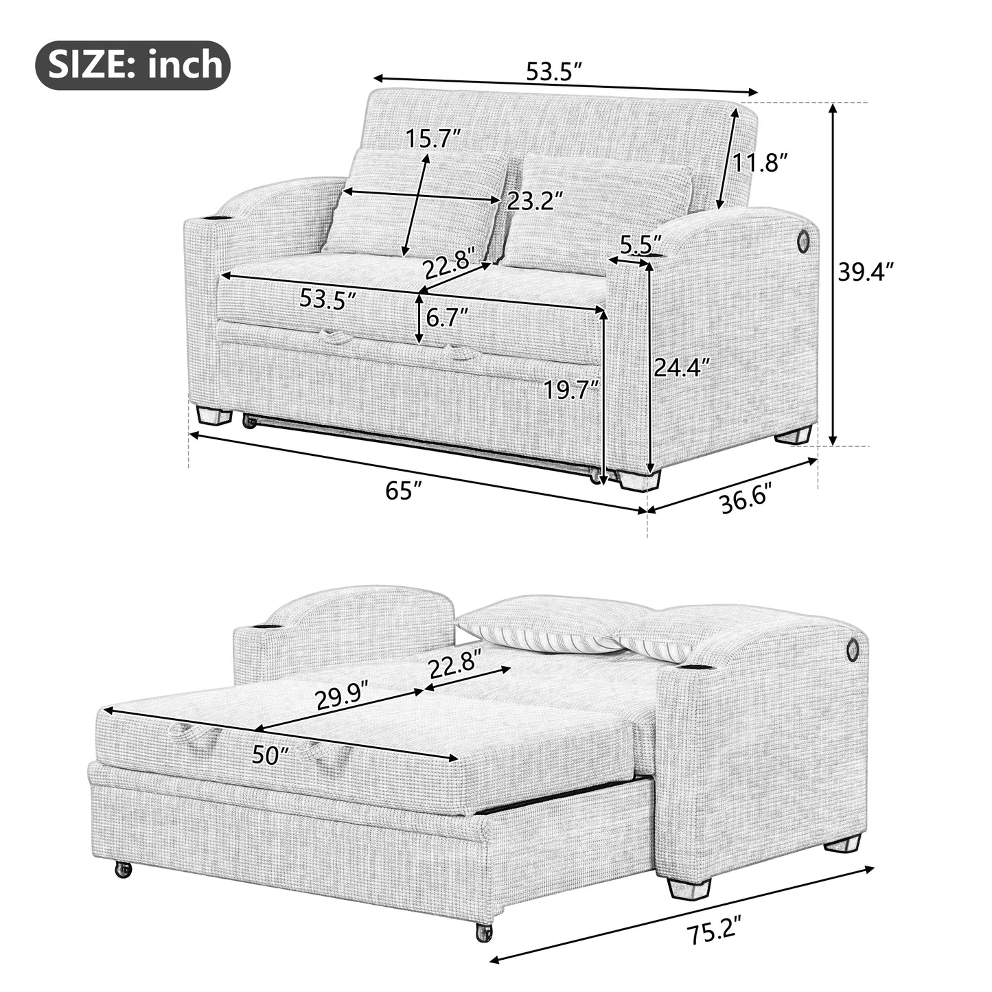 65" Modern  Pull Out Sofa Bed