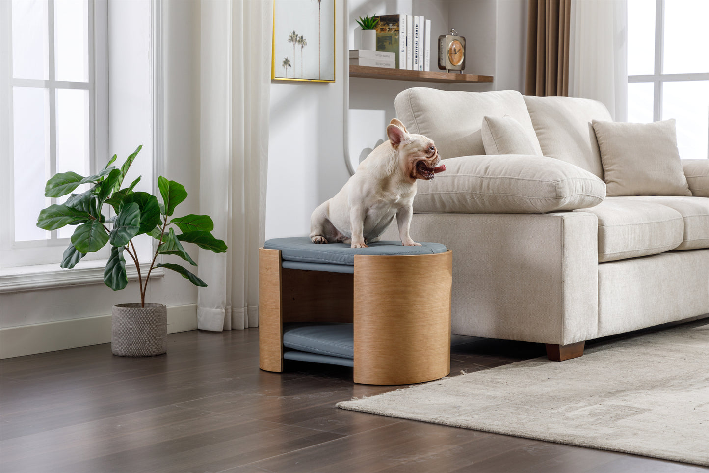 Cat Bed Pet Sofa With Solid Wood legs