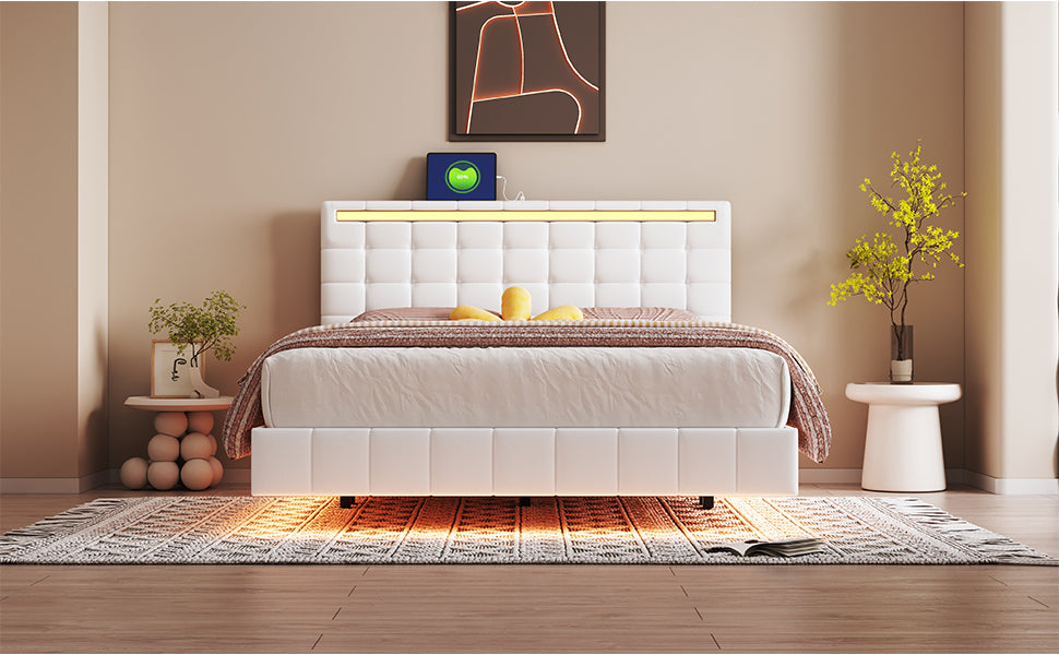 Queen Size Floating Bed Frame with LED Lights and USB Charging