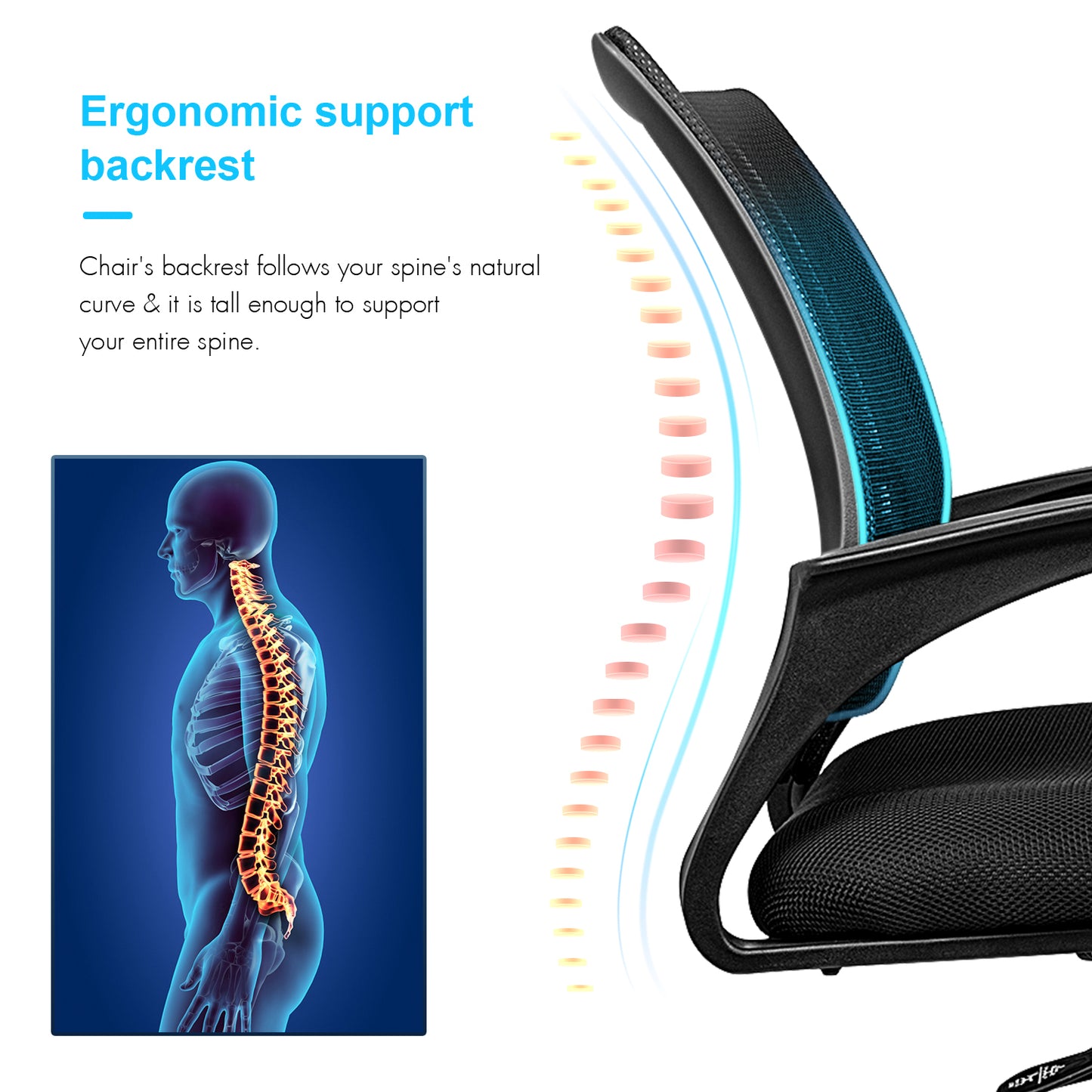 Deluxe Ergonomic Mesh Computer Chair with Wheels and Arms and Lumbar Support