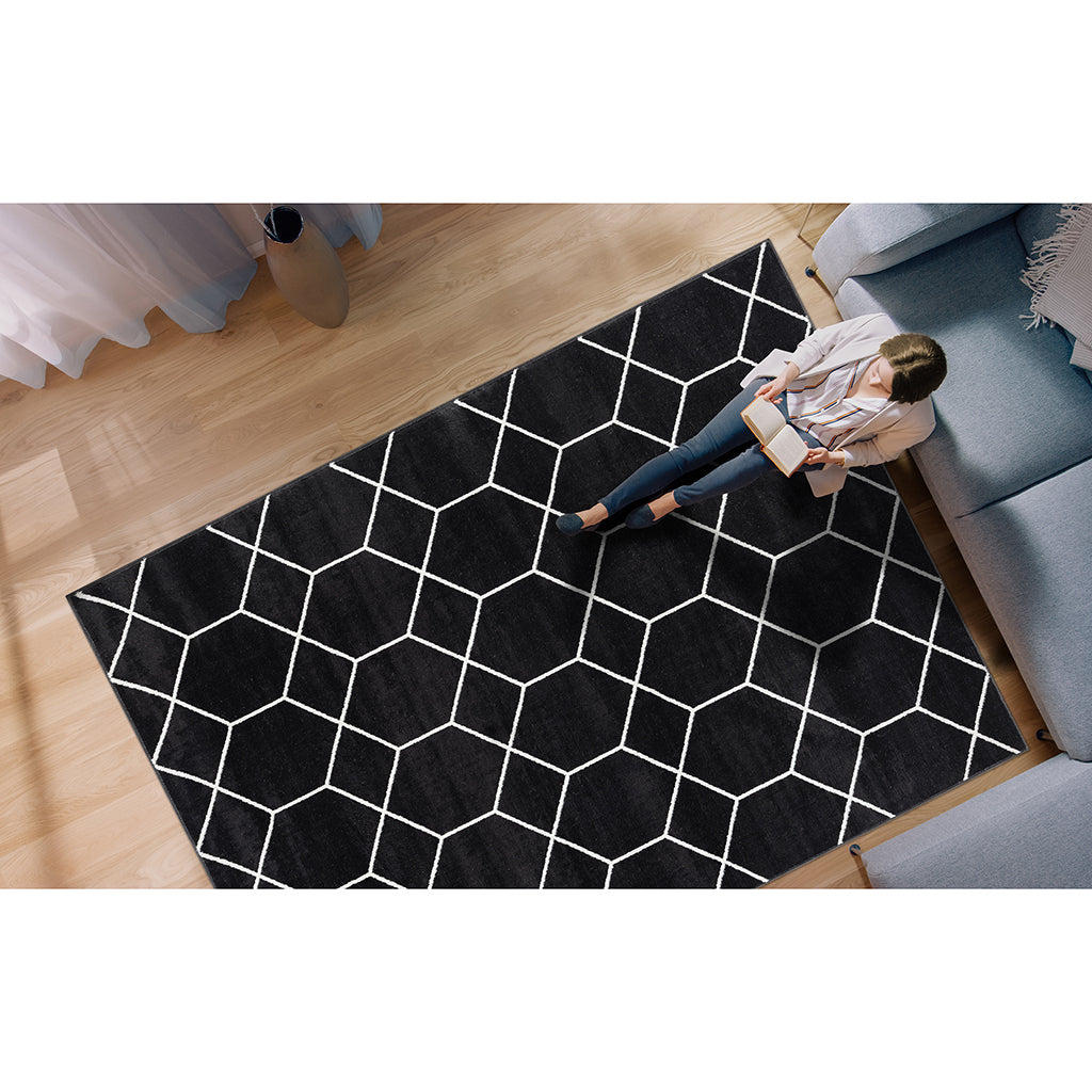 Averie Trellis Geometric Woven Area Rug 5x7