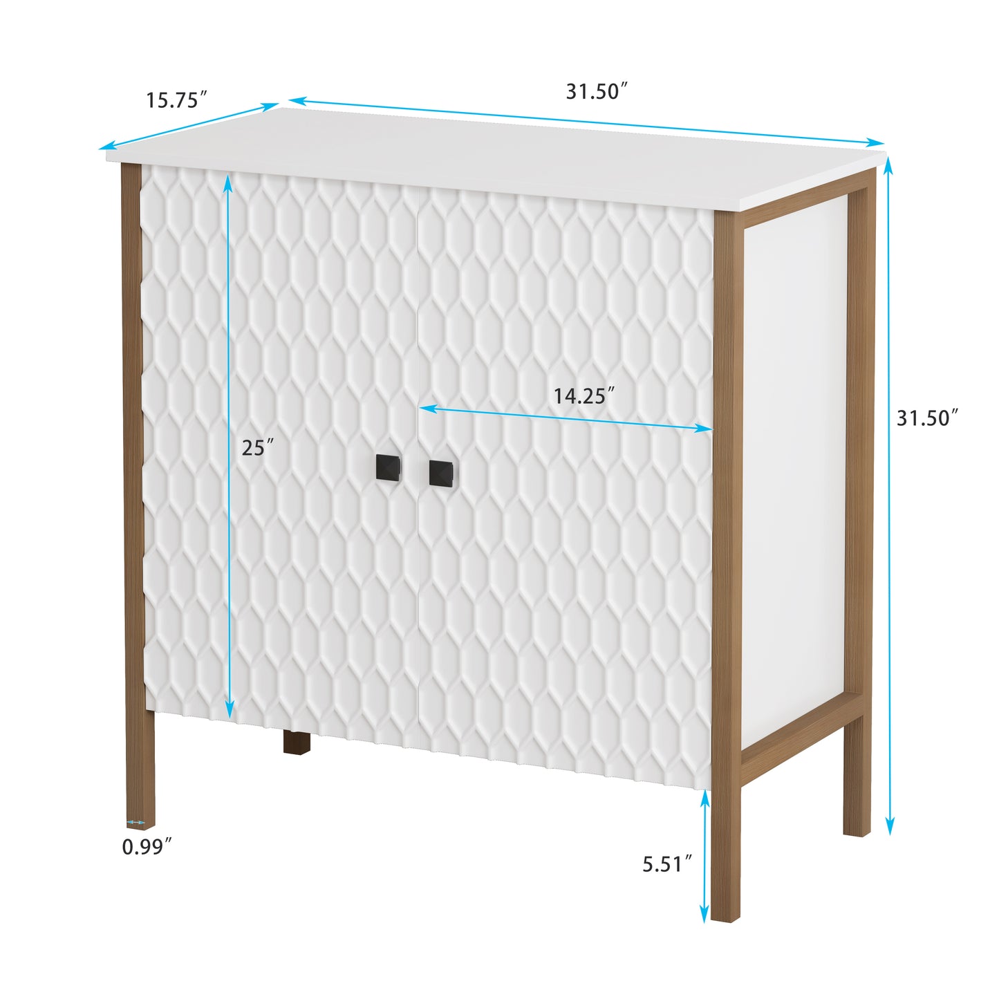 31.50" Modern 2 Door Wooden Cabinet