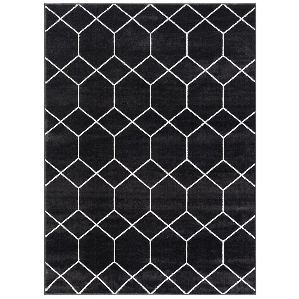 Averie Trellis Geometric Woven Area Rug 5x7