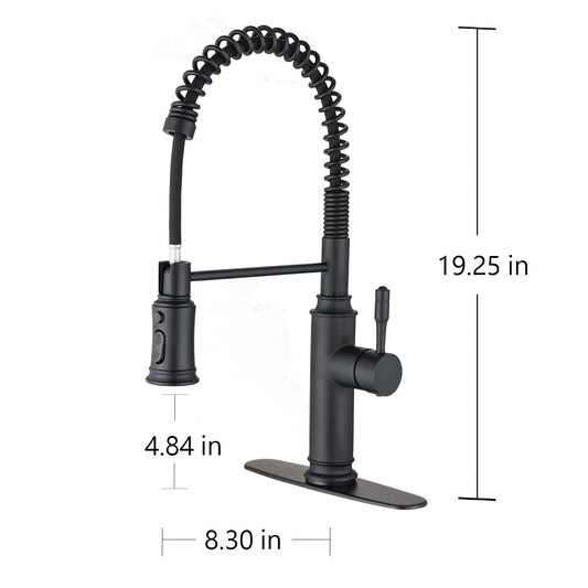 Kitchen Faucet