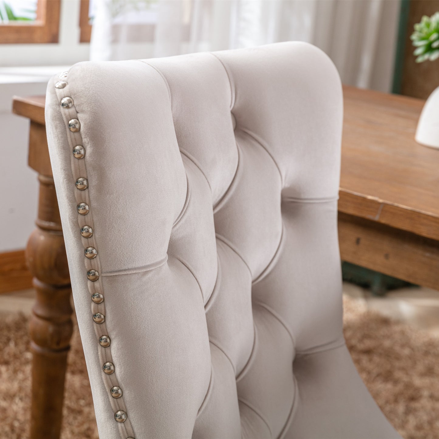 Nikki Collection ModernVelvet Upholstered Dining Chairs (Set of 2)