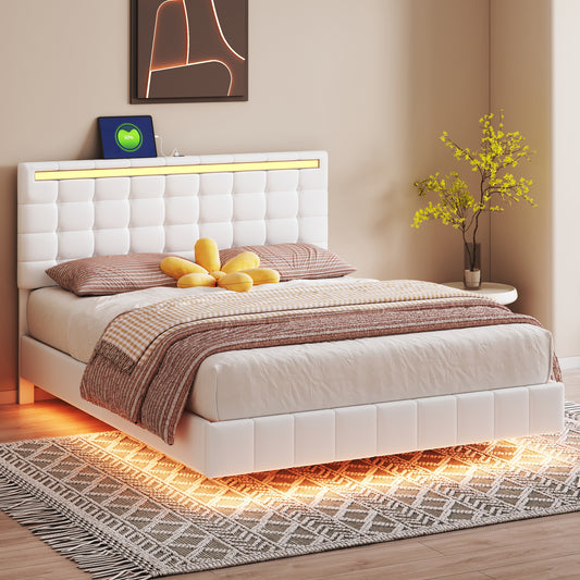 Queen Size Floating Bed Frame with LED Lights and USB Charging