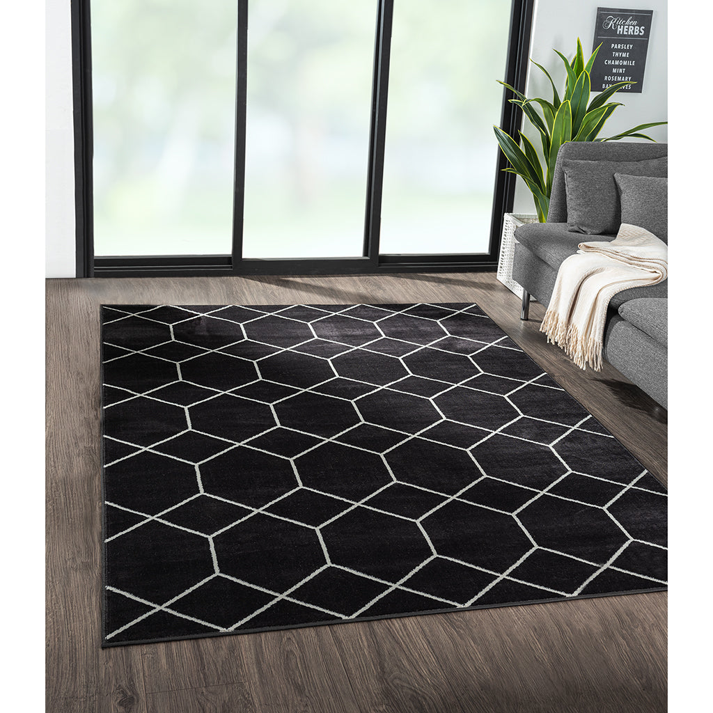 Averie Trellis Geometric Woven Area Rug 5x7