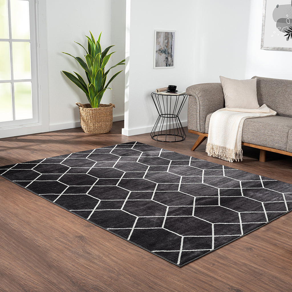 Averie Trellis Geometric Woven Area Rug 5x7